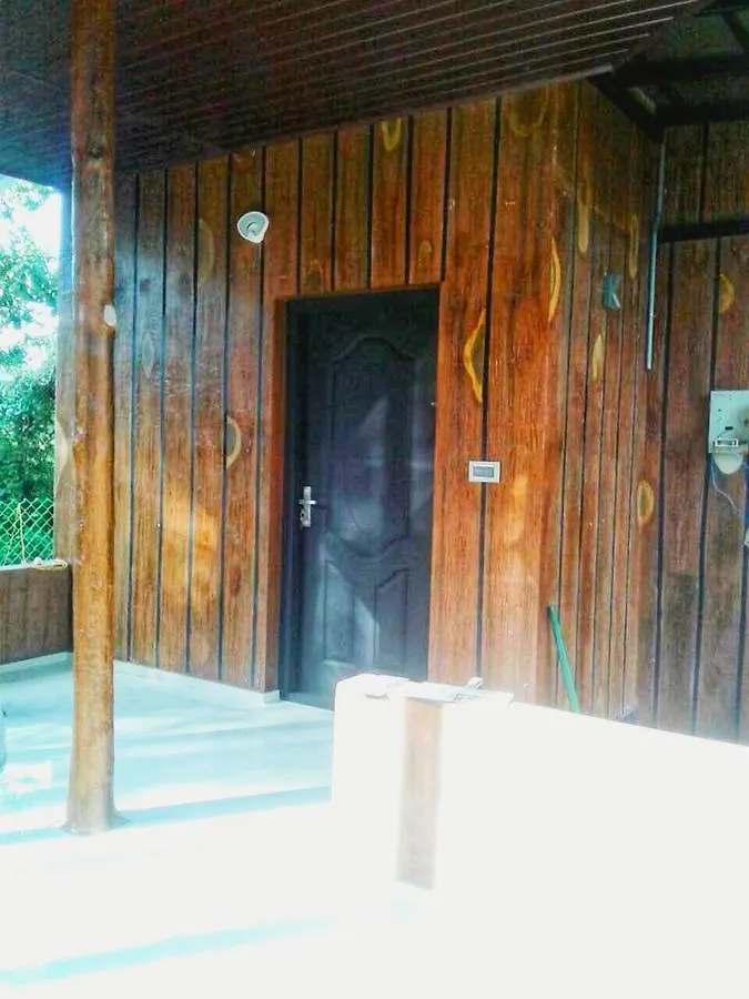Rippon Eco Woods Villa Kalpetta Holiday home